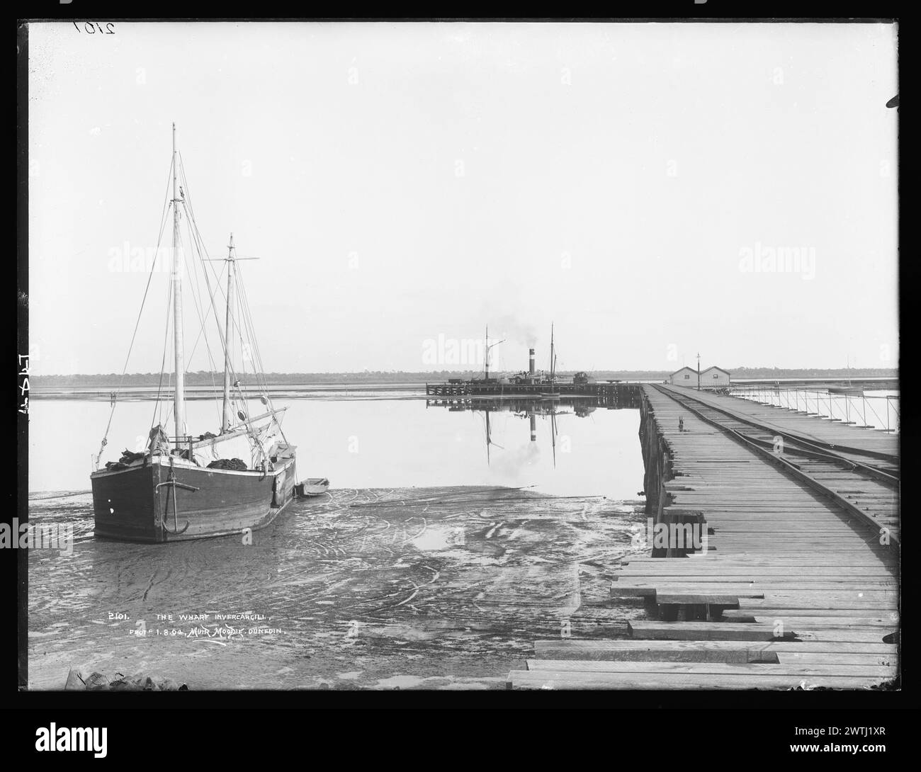 The wharf, Invercargill gelatin dry plate negatives, blackandwhite