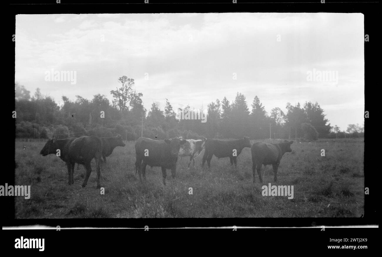 Pastoral context Black and White Stock Photos & Images - Alamy