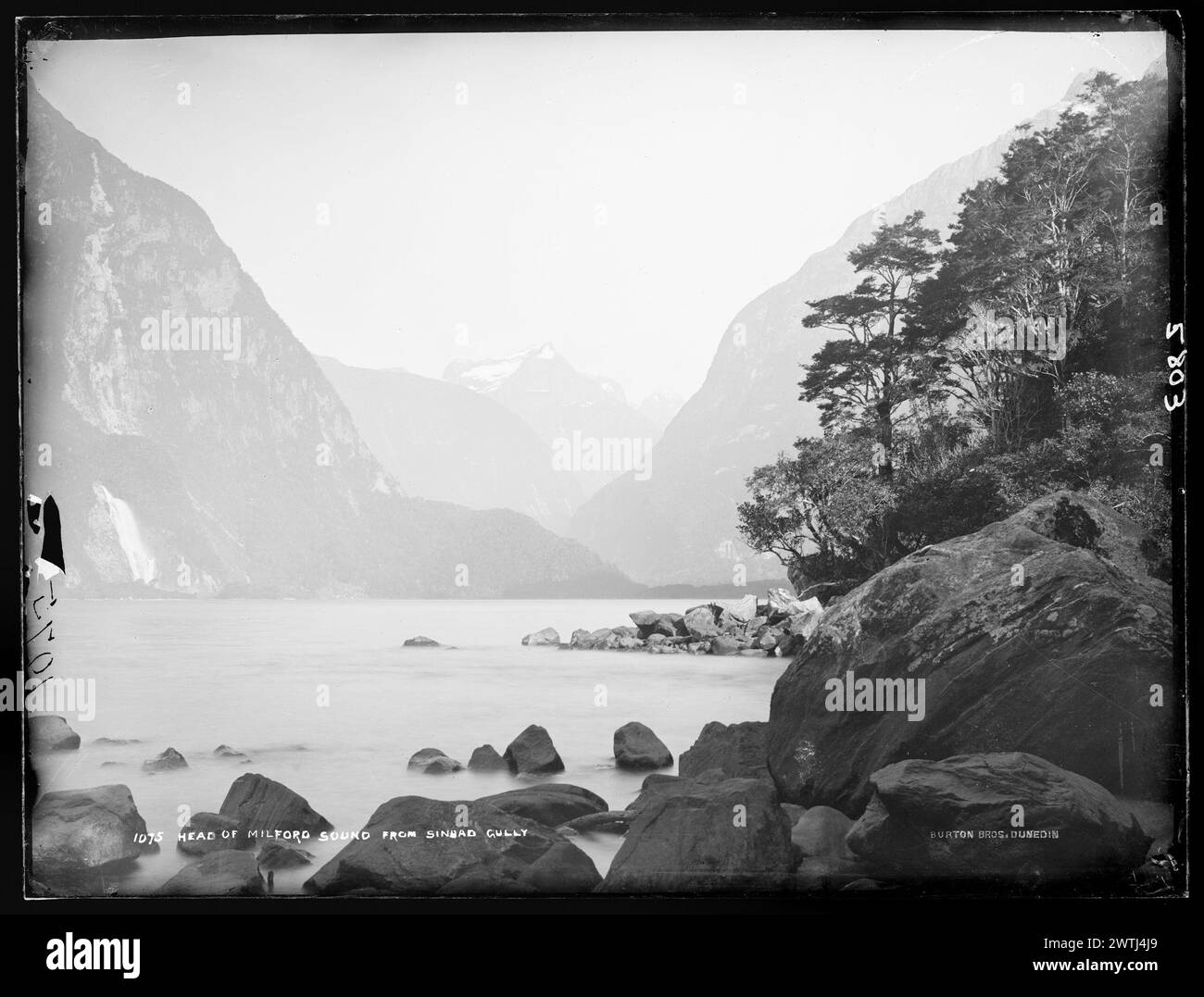 Head of Milford Sound, from Sinbad Gully gelatin dry plate negatives, black-and-white negatives Stock Photo