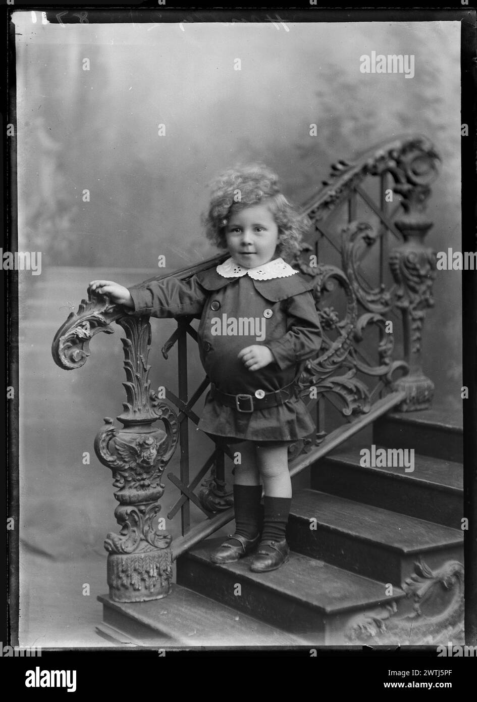 Handley gelatin dry plate negatives, blackandwhite negatives