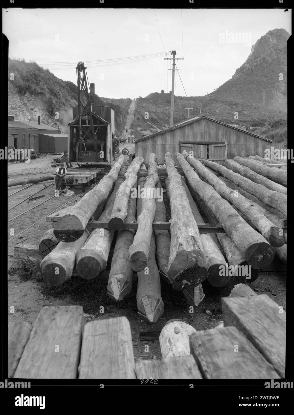 Timber yard near Paritutu rock, New Plymouth gelatin silver negatives, black-and-white negatives Stock Photo