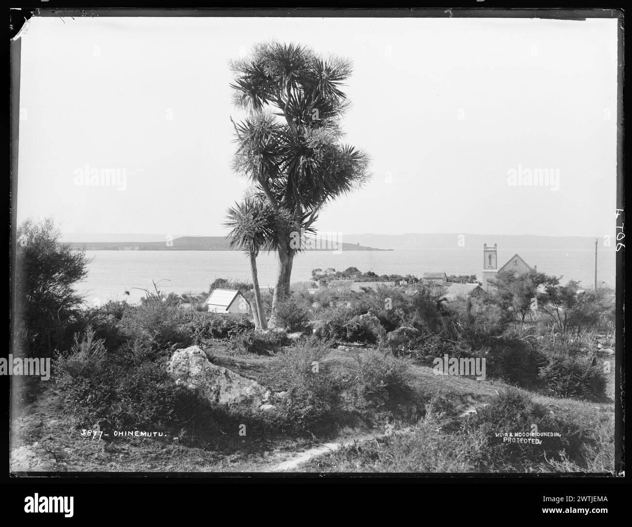 Ohinemutu gelatin dry plate negatives, blackandwhite negatives Stock
