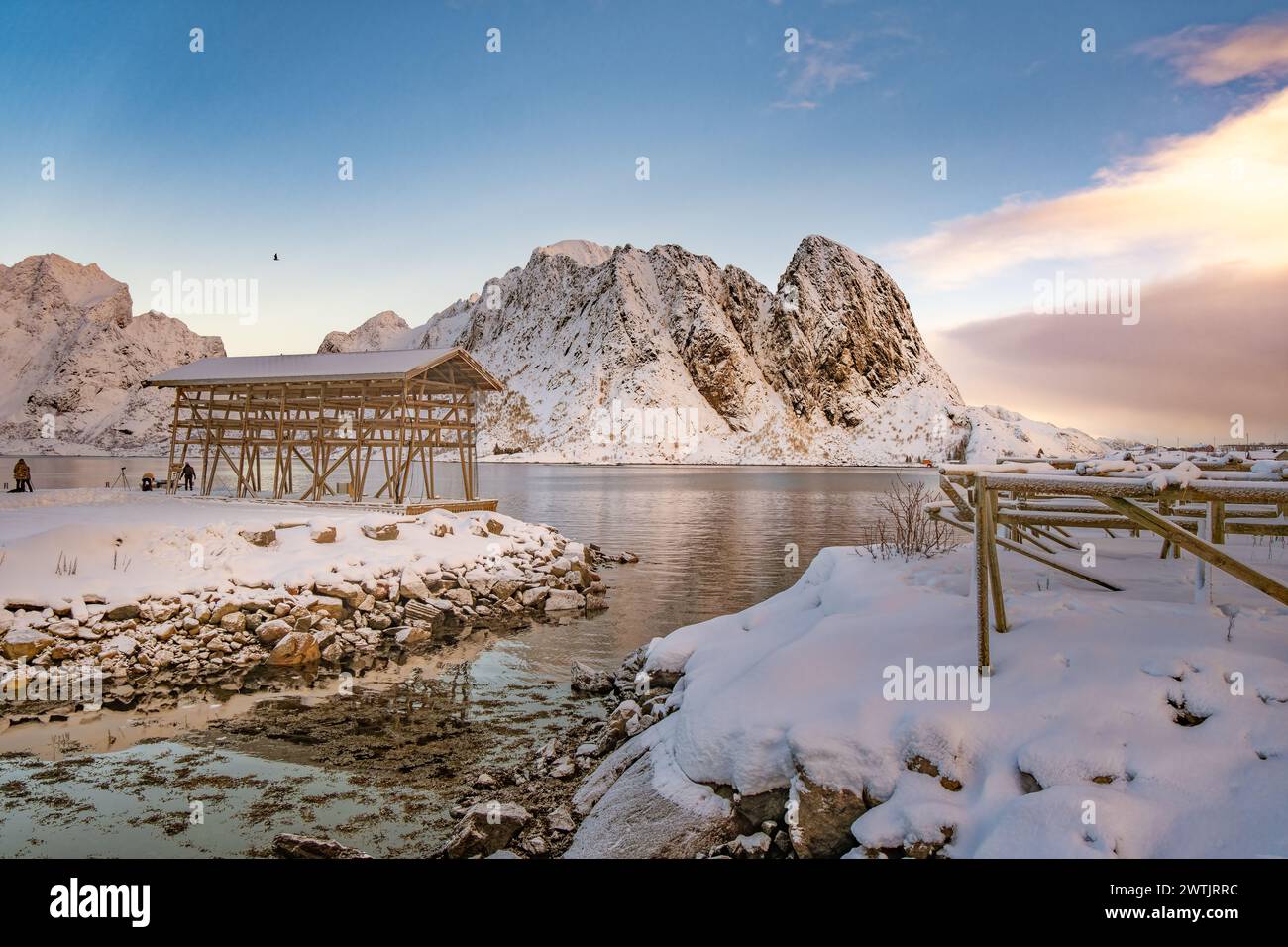 Cod drying racks in Hamnoy on Lofoten, Norway Stock Photo - Alamy