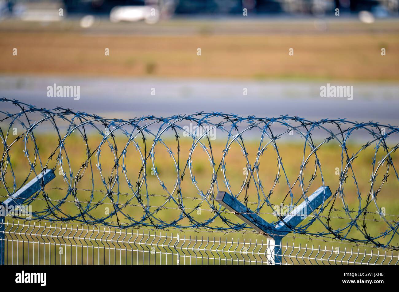 Barbed wire fence on a background of green grass and road. Shallow ...