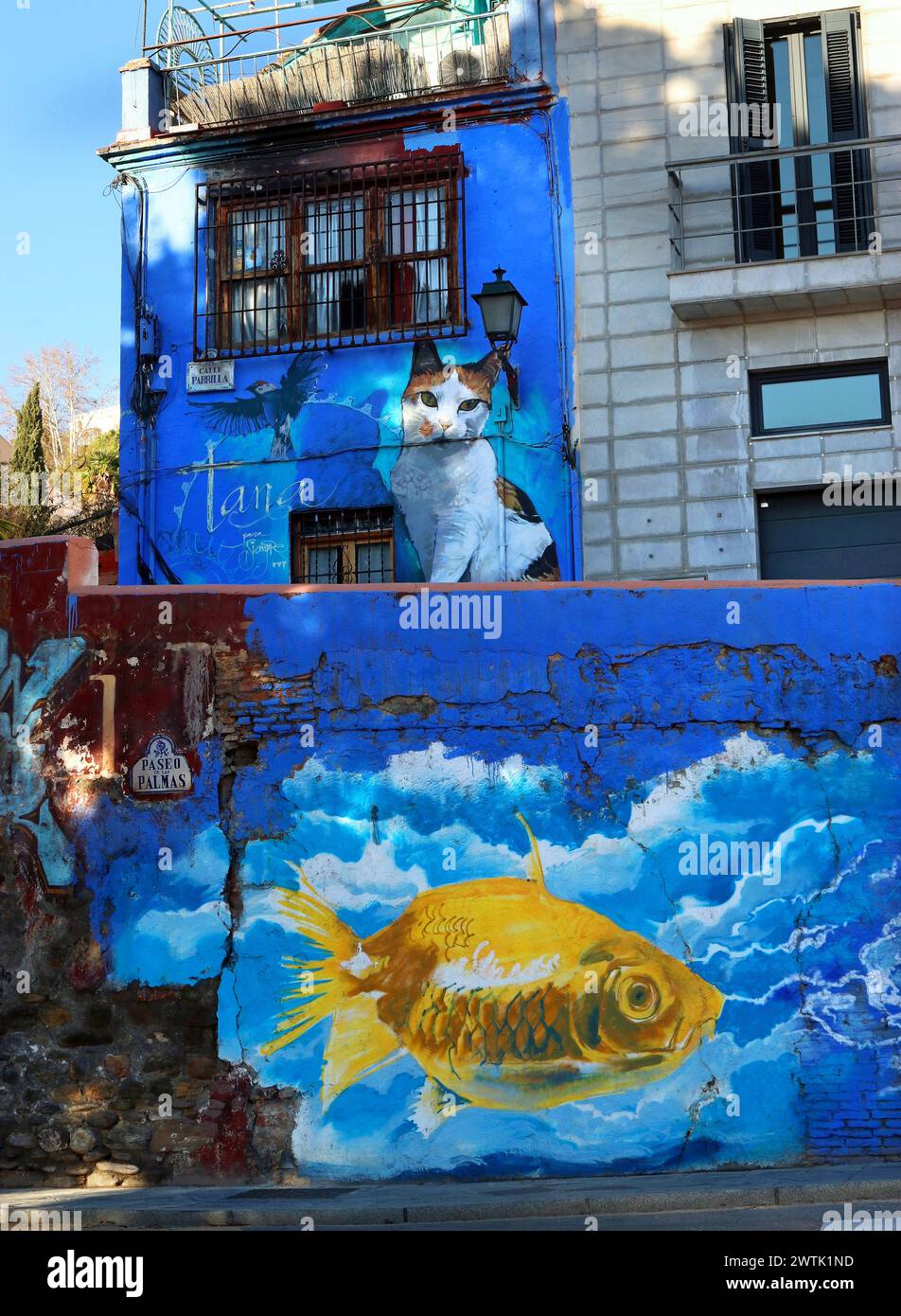 Large vibrant street art murals signed by Tana, decorate houses & walls in the Realejo-San Matias neighbourhood of Granada, Spain, Andalusia Stock Photo