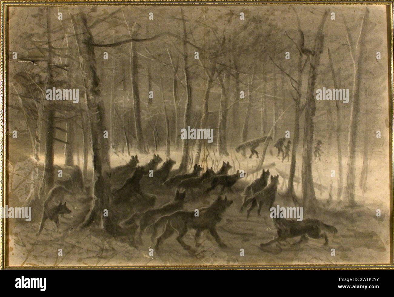 Drawing - Pack of Wolves William Raphael (1833-1914) Stock Photo