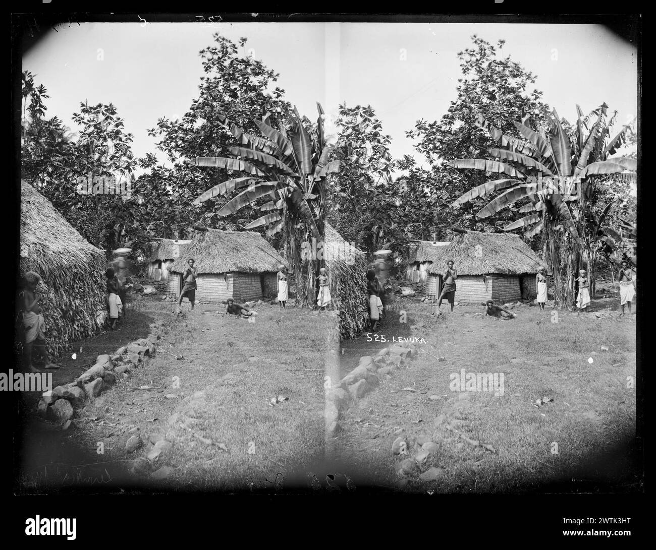 Levuka stereoscopic photographs, gelatin dry plate negatives, blackand