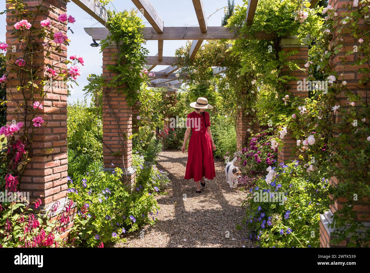 Woman walking dog in garden of country house in Greystones, County Wicklow, Ireland Stock Photo