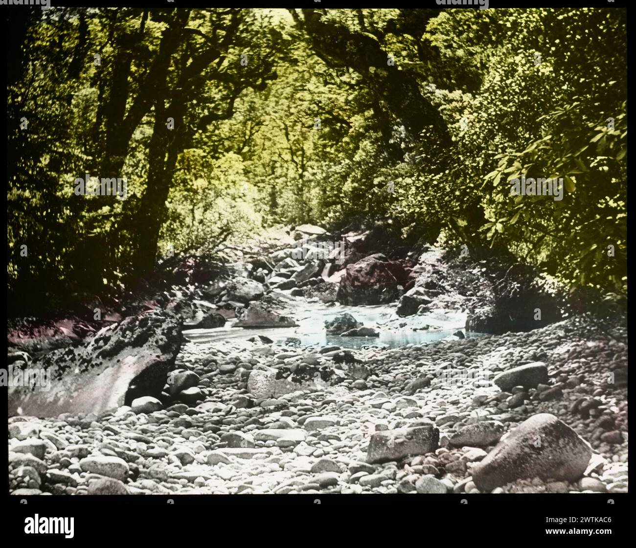 Stream near Bligh's Sound lantern slides, colour slides Stock Photo