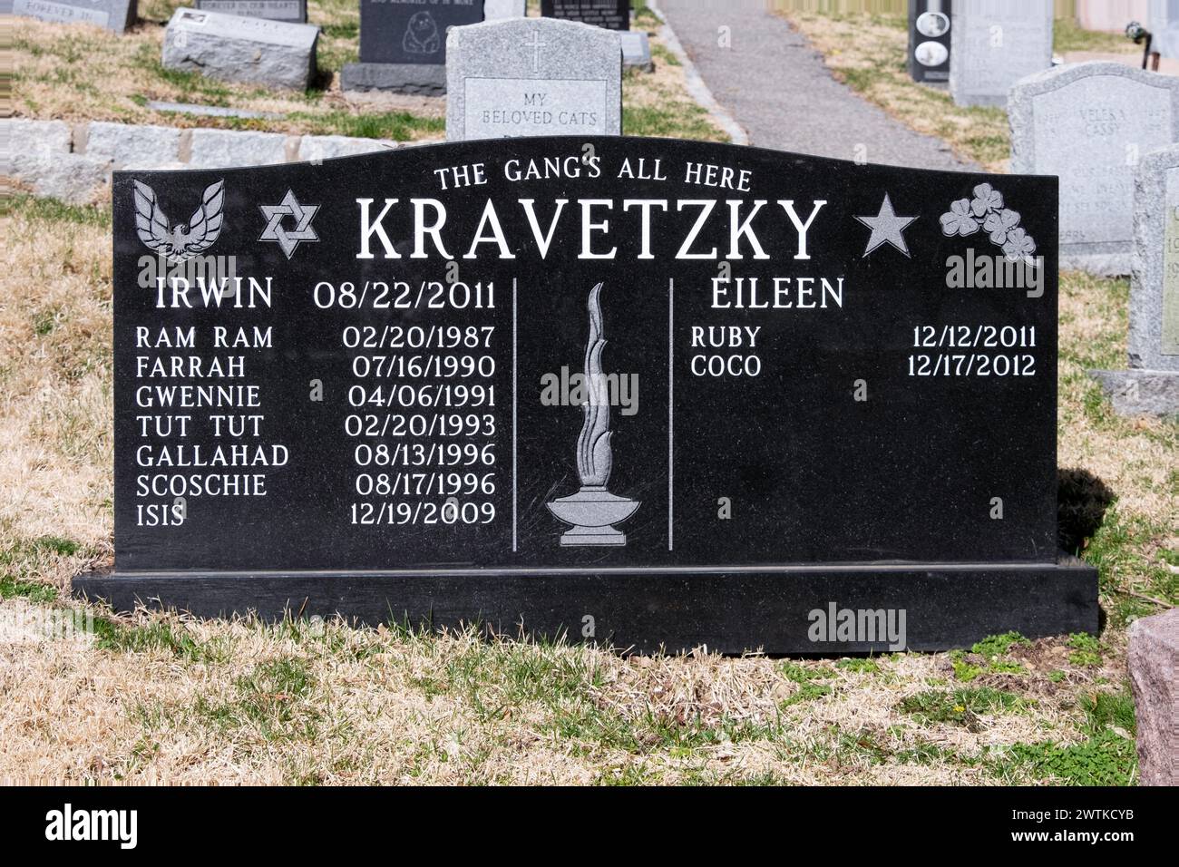 A large black headstone with a Jewish star that mourns the loss of 9 pets. At The Hartsdale Canine Cemetery in Westchester. Stock Photo