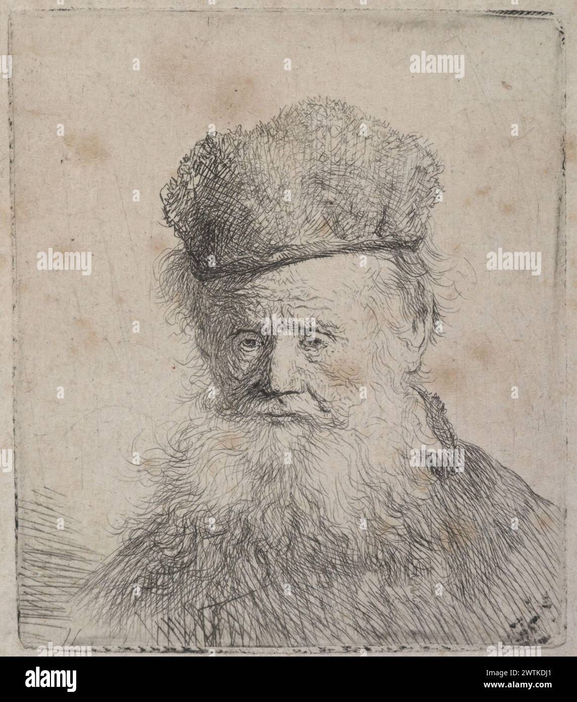 Bust of an old man with a fur cap and flowing beard. prints, etchings ...