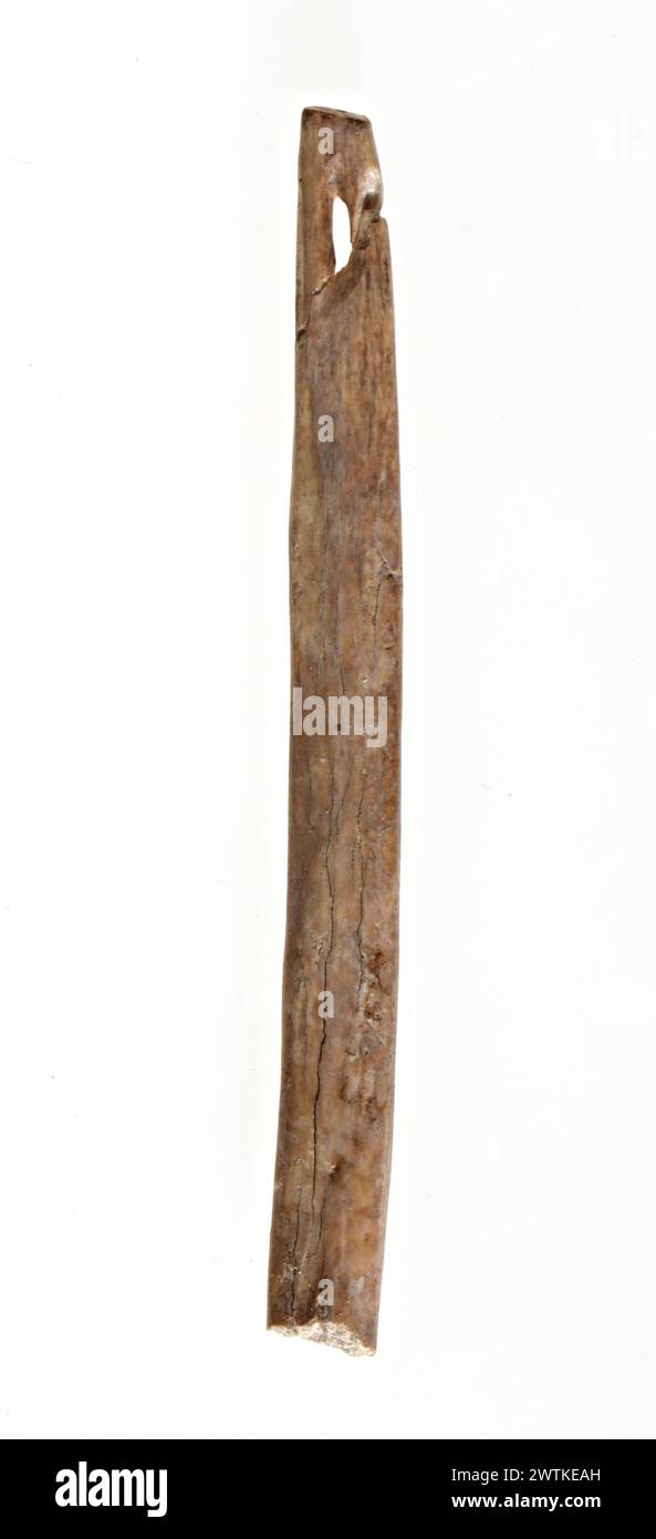 Leatherworking needle Stock Photo Alamy