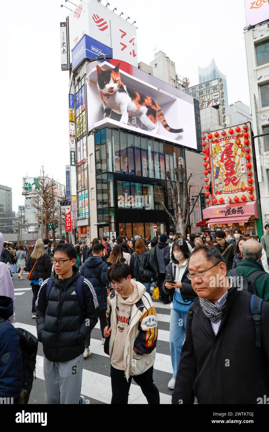 DIGITAL BILLBOARD OF REALISTIC GIANT 3D CAT AMAZES ONLOOKERS IN TOKYO Stock Photo