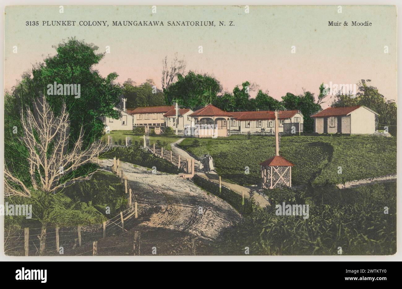 plunket-colony-hi-res-stock-photography-and-images-alamy