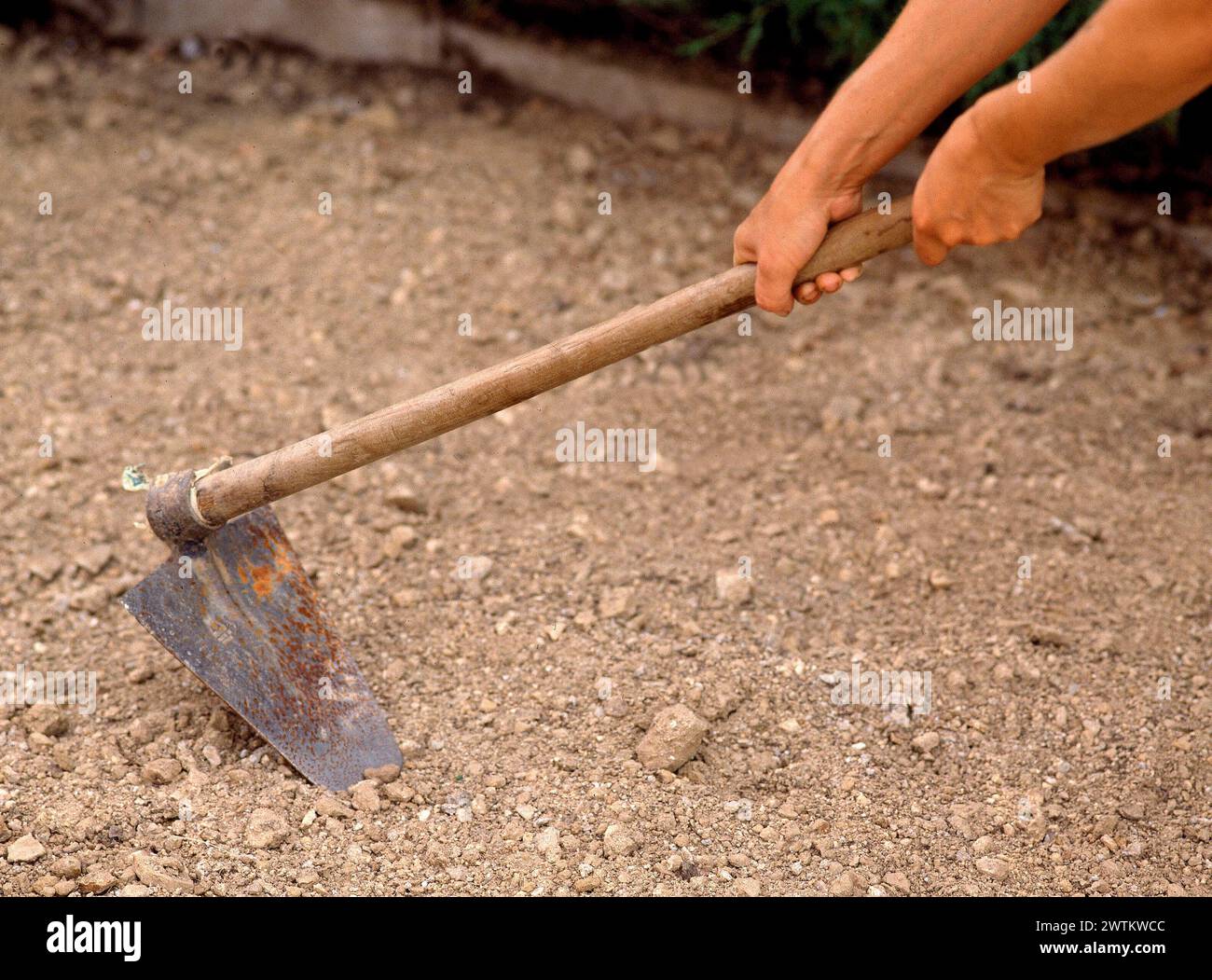 AZADA - FOTO AÑOS 90 Stock Photo - Alamy