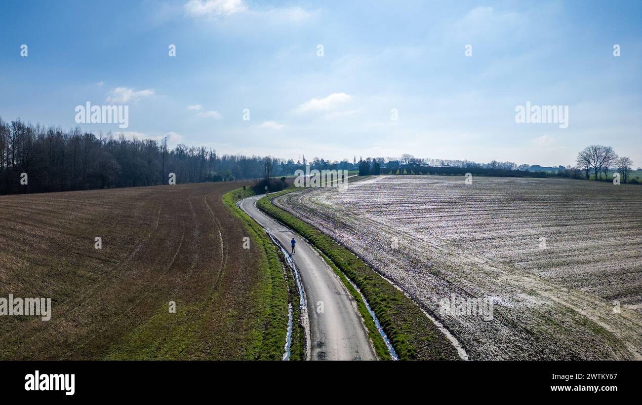 Horizon line drawing hi-res stock photography and images - Alamy