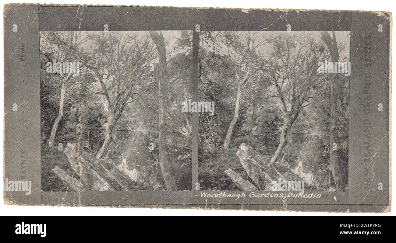 Woodhaugh Gardens, Dunedin stereoscopic photographs, relief halftones, black-and-white prints Stock Photo