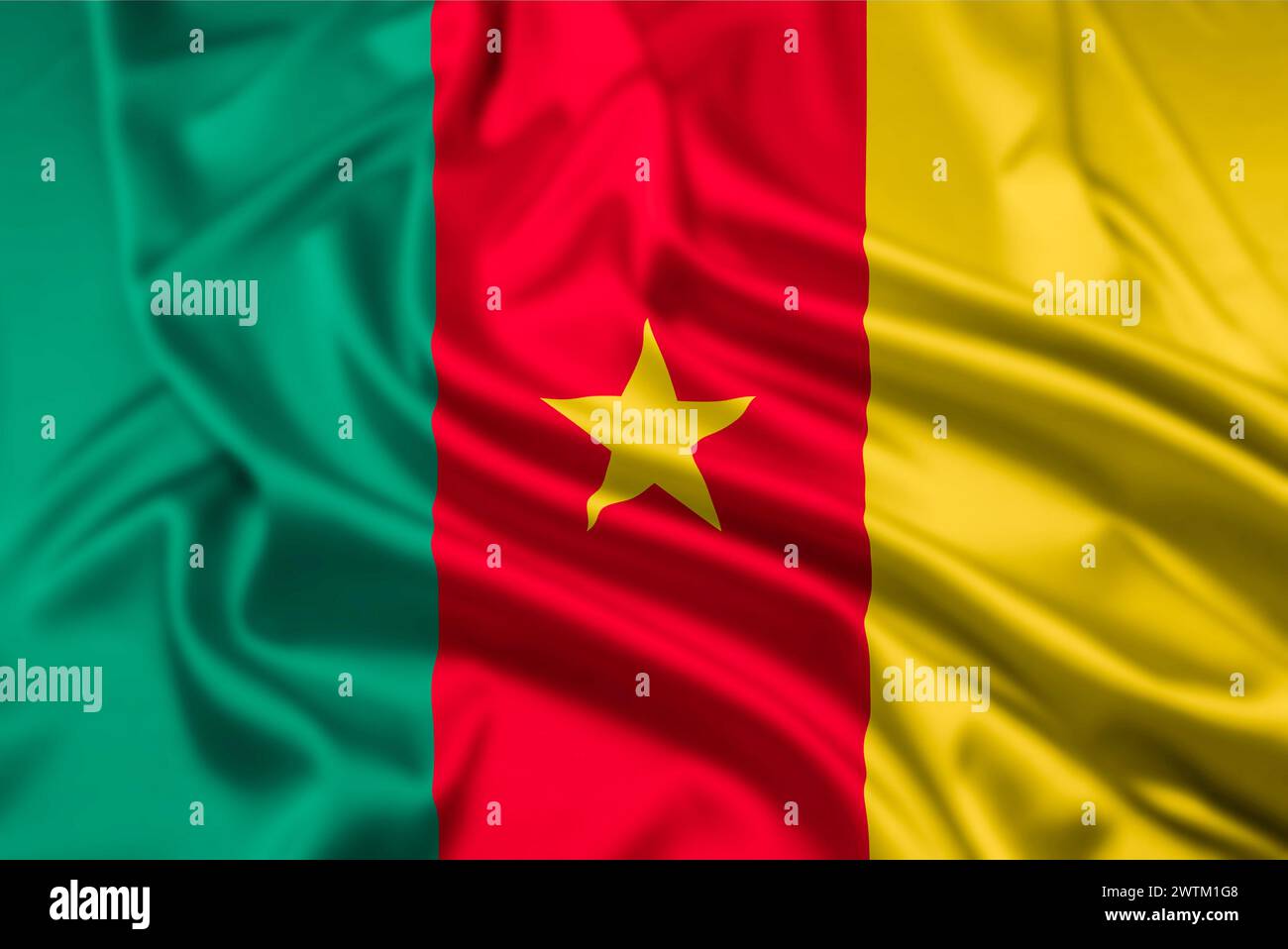 The Flag of The Republic of Cameroon, with a Ripple Effect Stock Photo