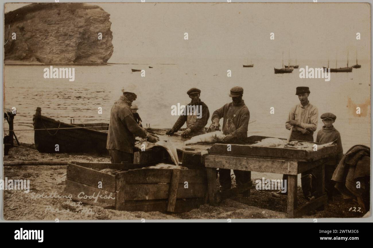 Gelatin silver print - Splitting codfish, Percé, Quebec, 1900-1945 Hedley Vicars Henderson (1891-1964) Stock Photo