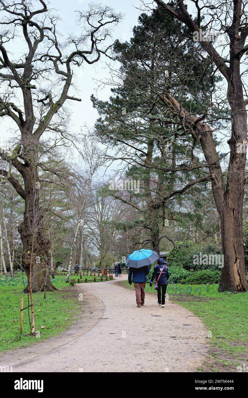 A middle aged couple with umbrella up walking through the woodlands gardens in Bushy Park West