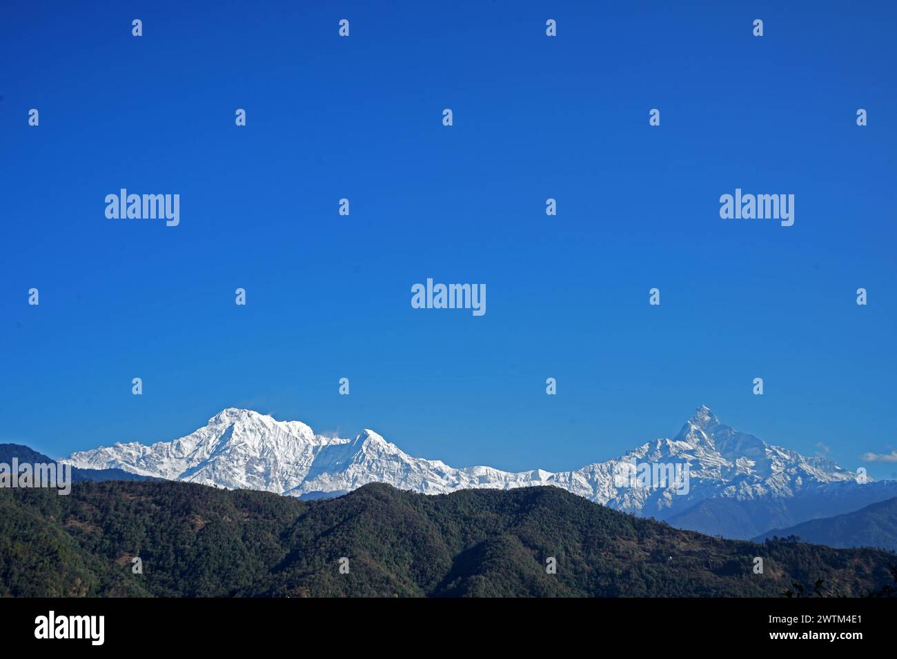 Natural landscape view of green rocky mountain cliff with foggy and misty clouds Stock Photo