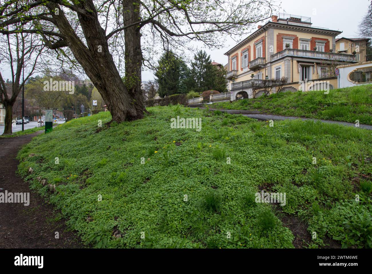 Borgo Crimea in Turin, elegant neighborhood next to the hills Stock Photo