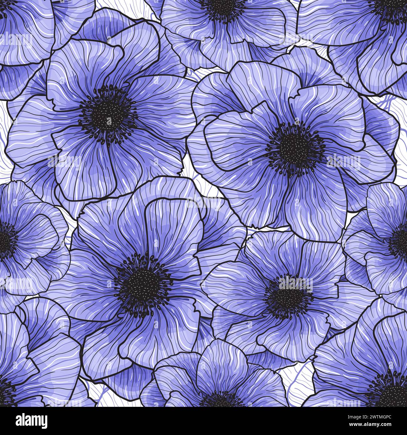 Pattern Seamless Vector Anemones Graphic Purple Flowers Pattern Vector ...