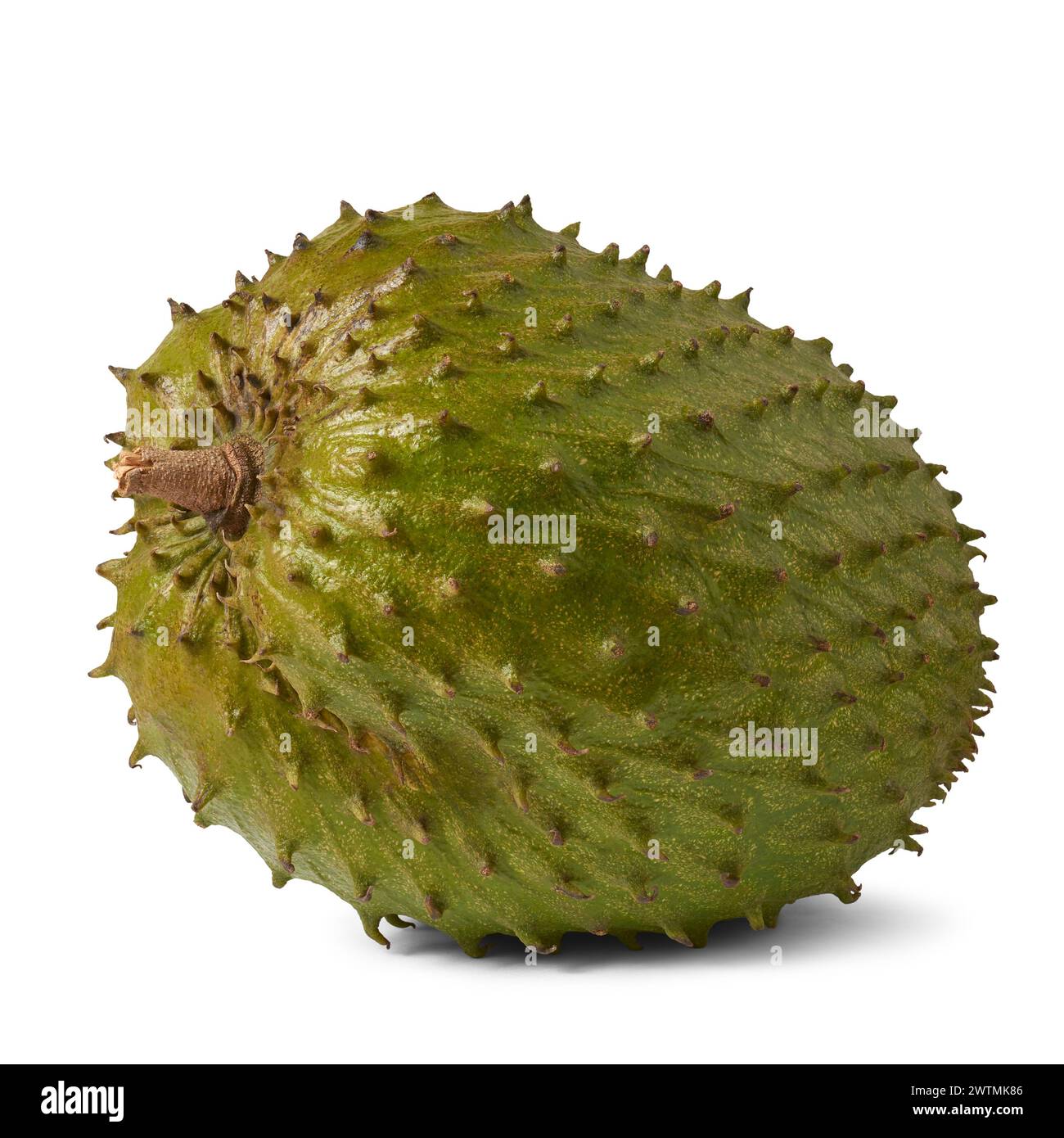 close-up of soursop or custard apple, aka graviola or annona muricata, large tropical fruit with spiky green outer skin, flesh is creamy and sweet Stock Photo