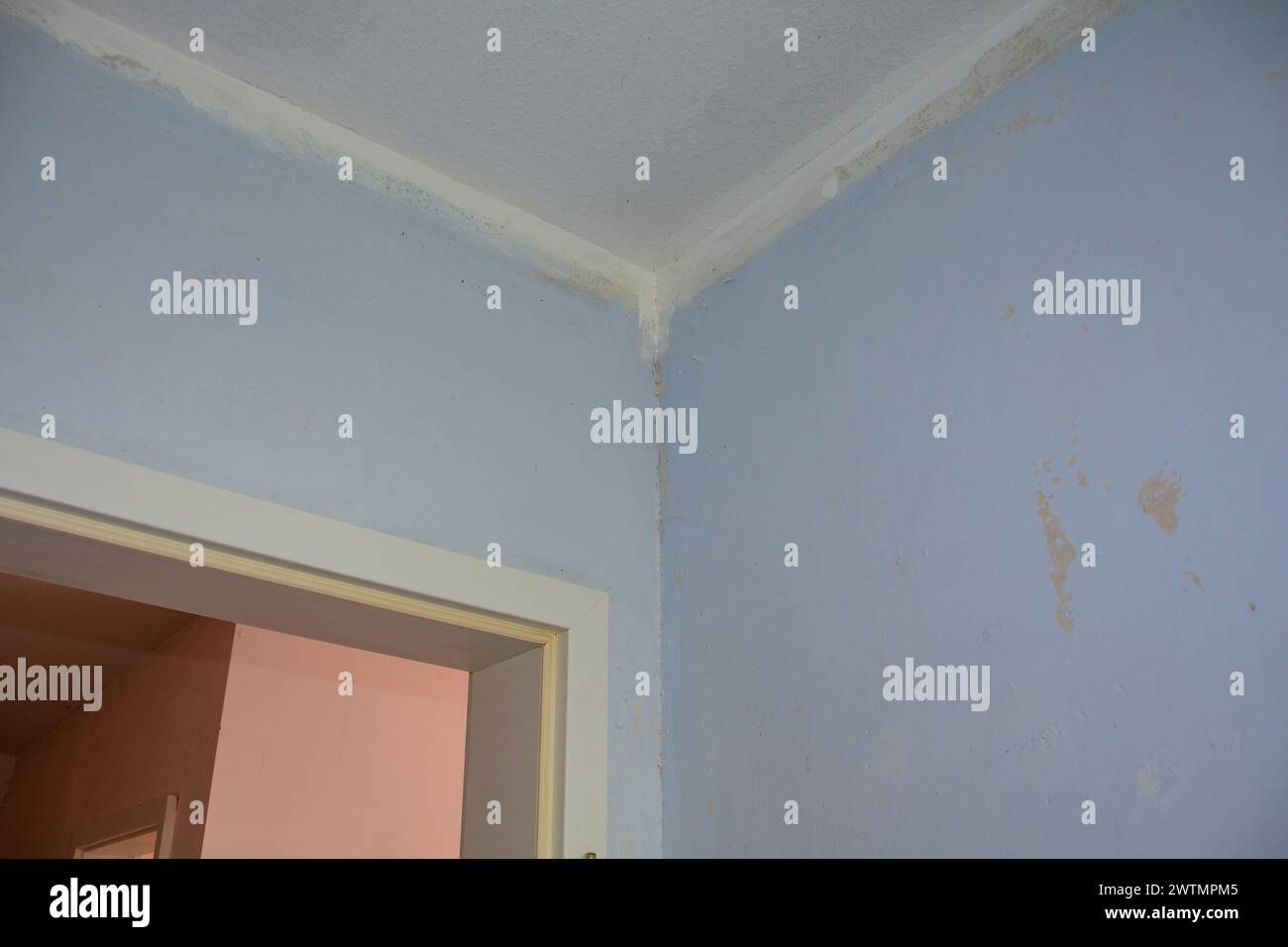 Wall of a room before wallpapering, corner above a door Stock Photo Alamy