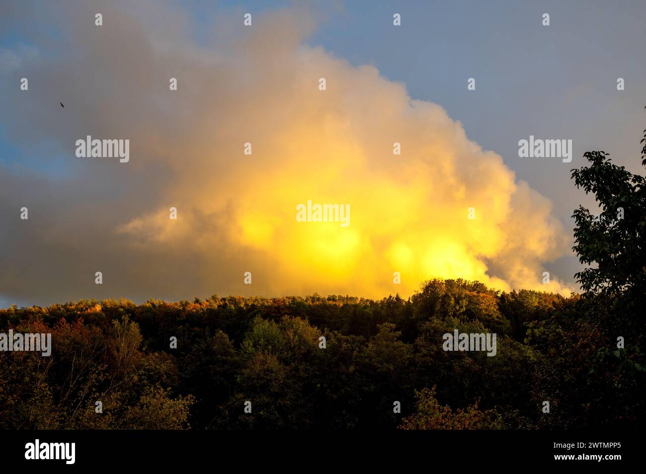 Big yellow cloud in the sky in the evening sun over a green forest Stock Photo