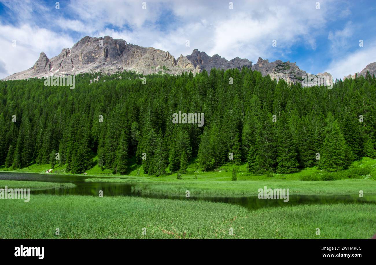 the forests and mountains in Misurina a beautiful spring day in the Belluno Dolomites Stock Photo