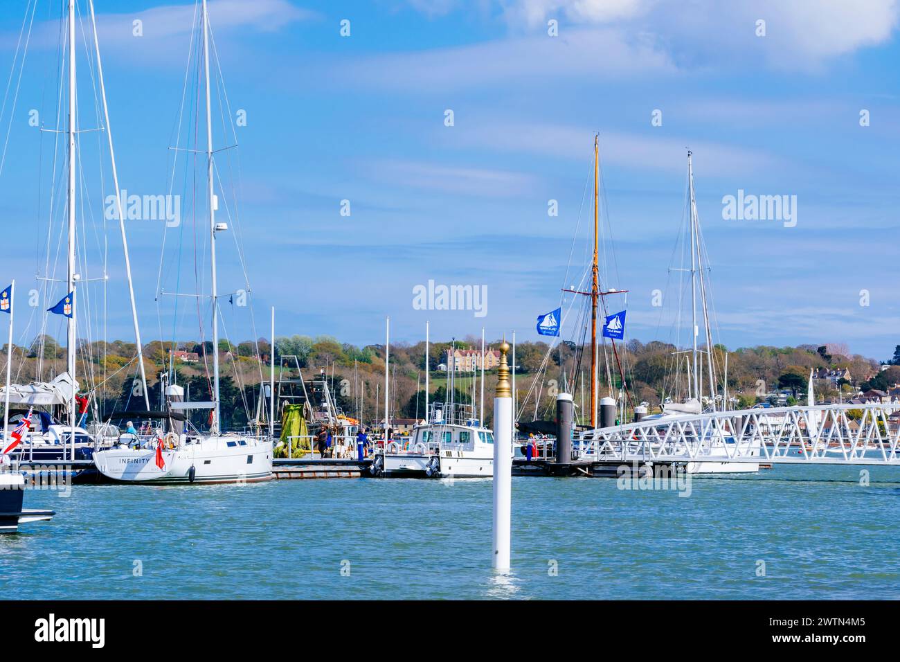 Yachts moored at Cowes Marina. Cowes, Isle of Wight, England, United Kingdom, Europe Stock Photo