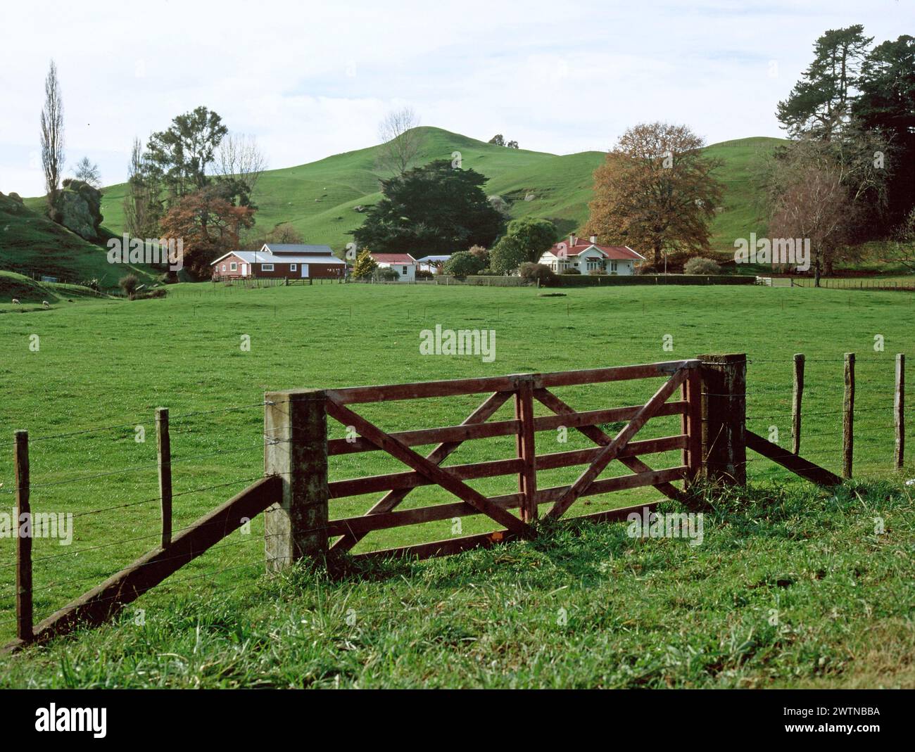 New Zealand. Wooden gate to field with farm homestead. Stock Photo