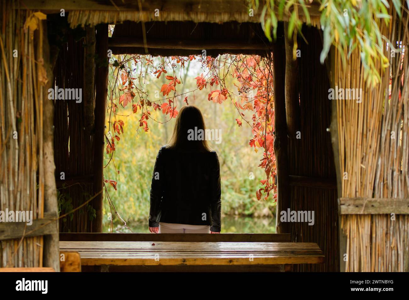A young beautiful girl stands in the doorway of an old hut Stock Photo ...
