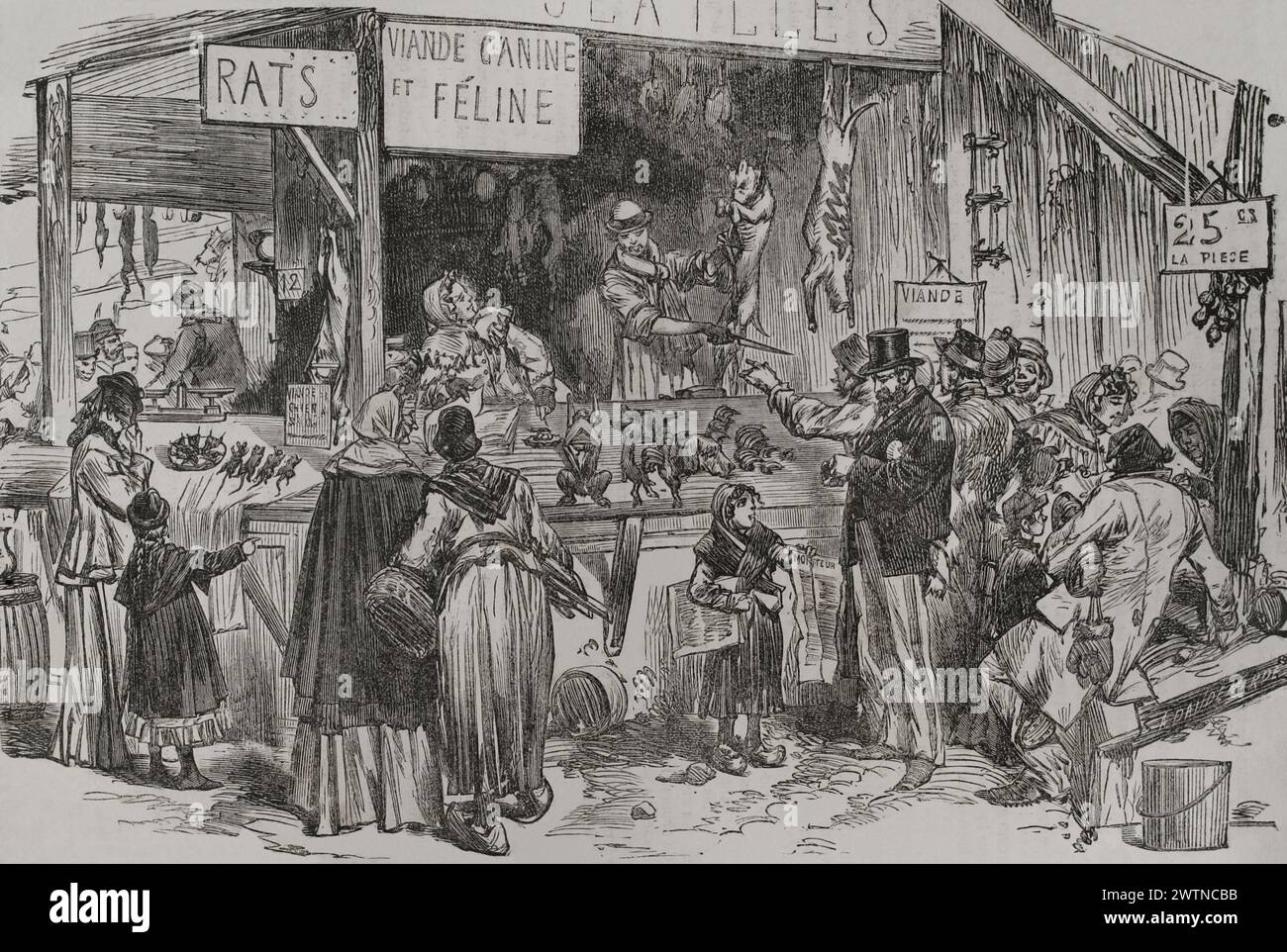 Franco-Prussian War (1870-1871). Siege of Paris (19 September 1870 to 28 January 1871). Stall selling dog, cat and rat meat in the Faubourg Saint-Germain during the siege of the city. Engraving. 'Historia de la Guerra de Francia y Prusia' (History of the War between France and Prussia). Volume II. Published in Barcelona, 1871. Stock Photo