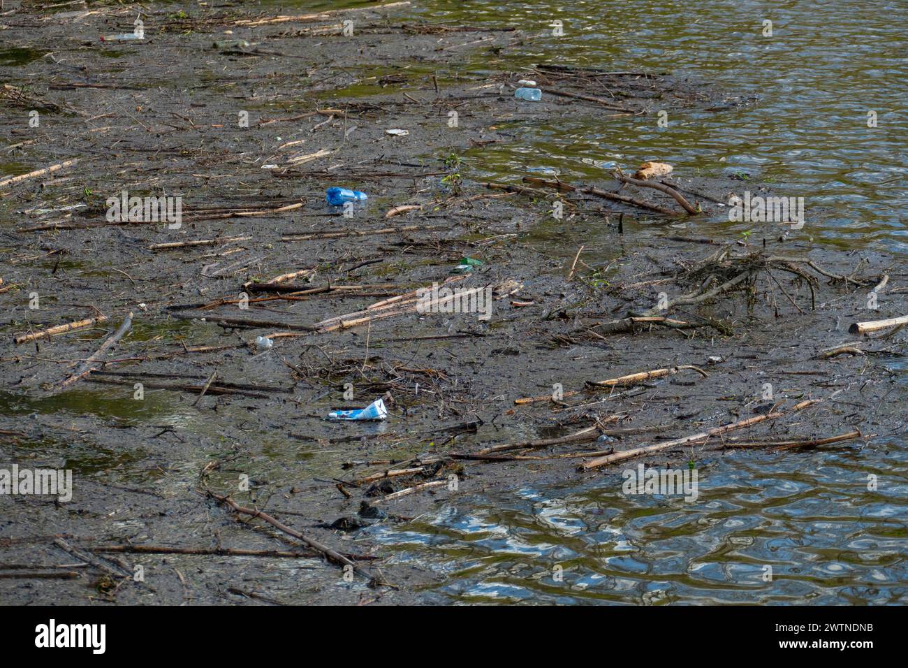 Wasserverschmutzung durch Plastikflaschen und Abfall  auf dem Rhein Stock Photo