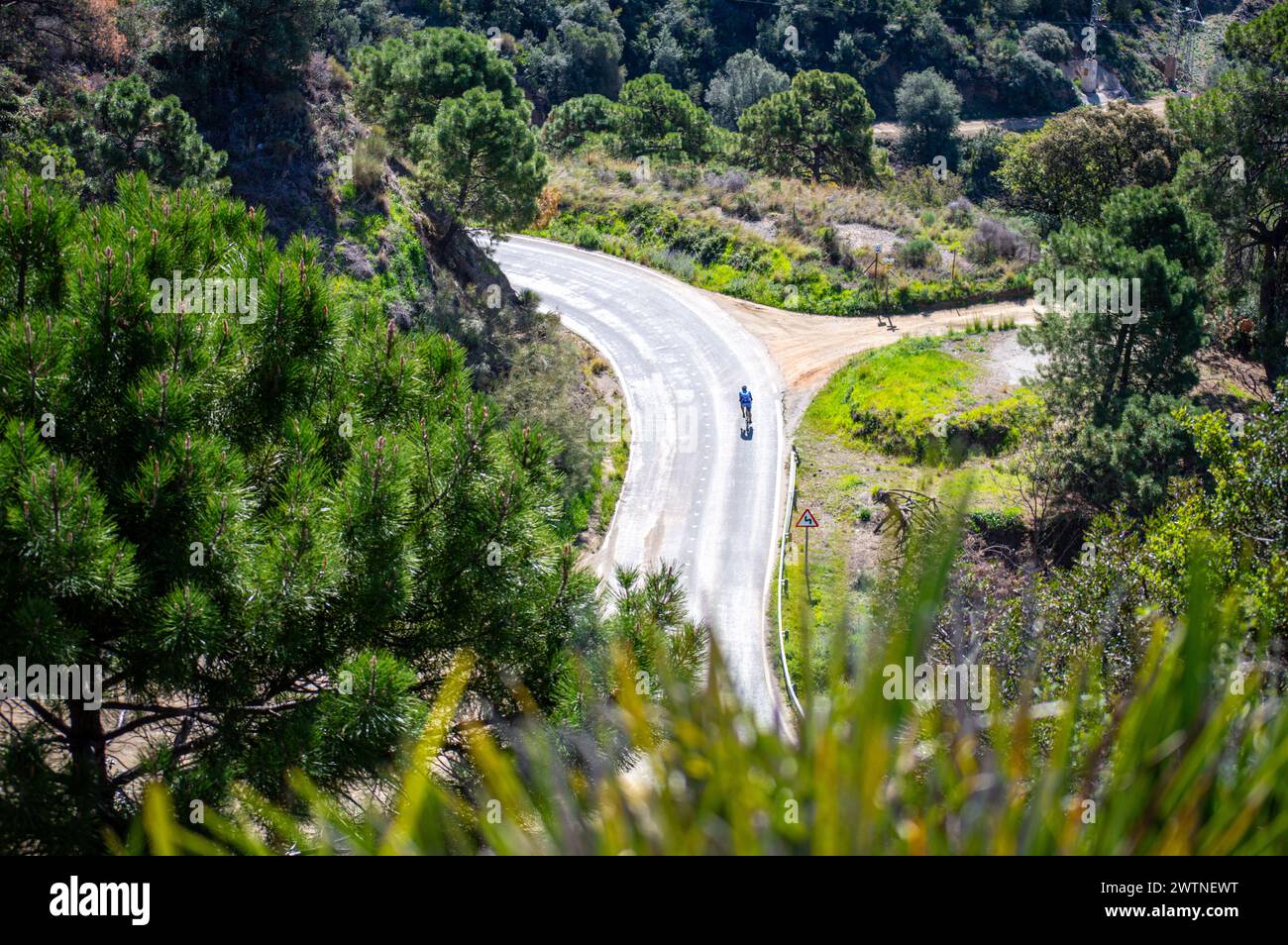 Road to Istan village on sunny day, Marbella, Andalusia, Spain Stock Photo