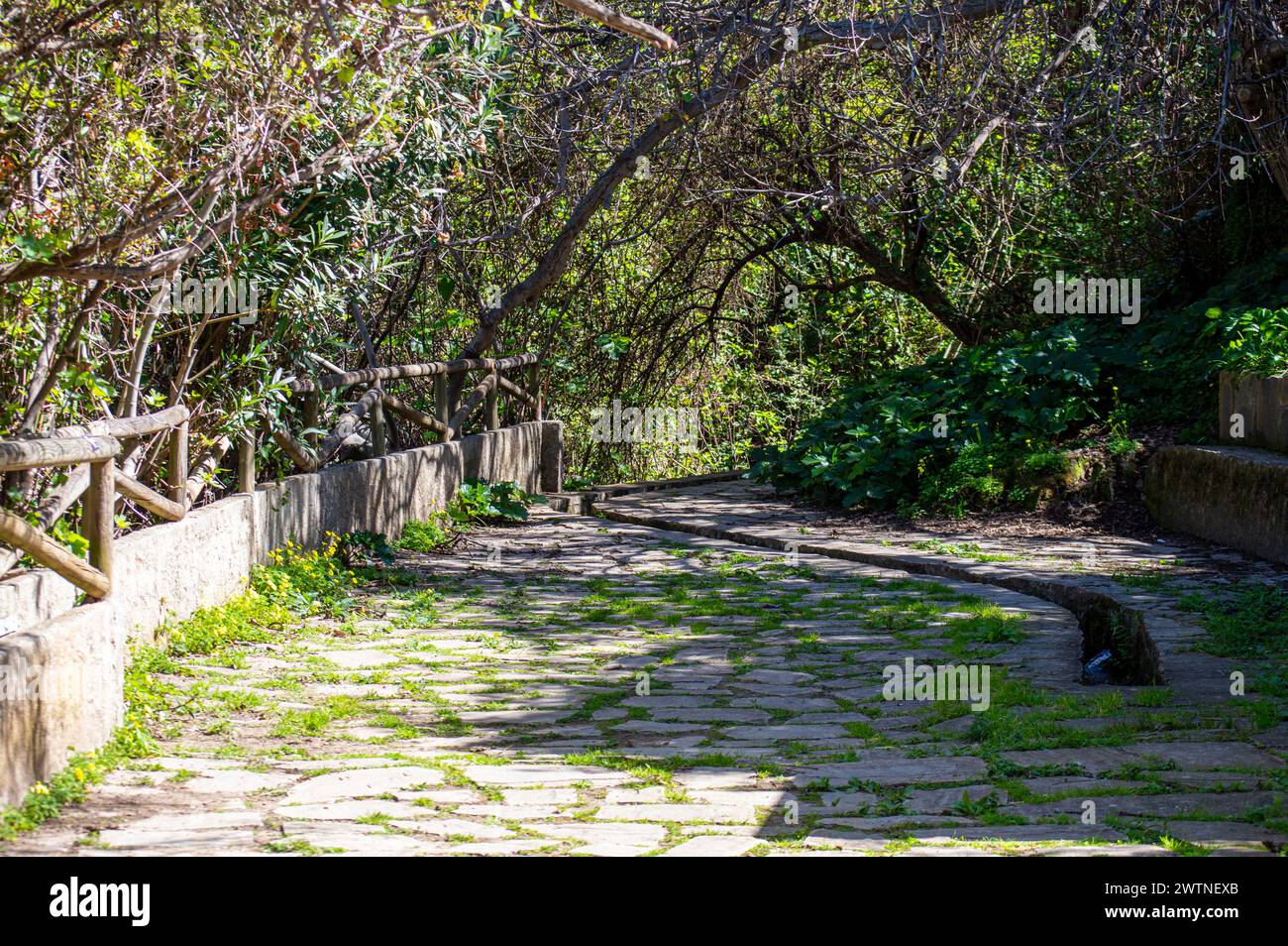 Hiking trail to Molinos river, Istan, Marbella, Spain Stock Photo