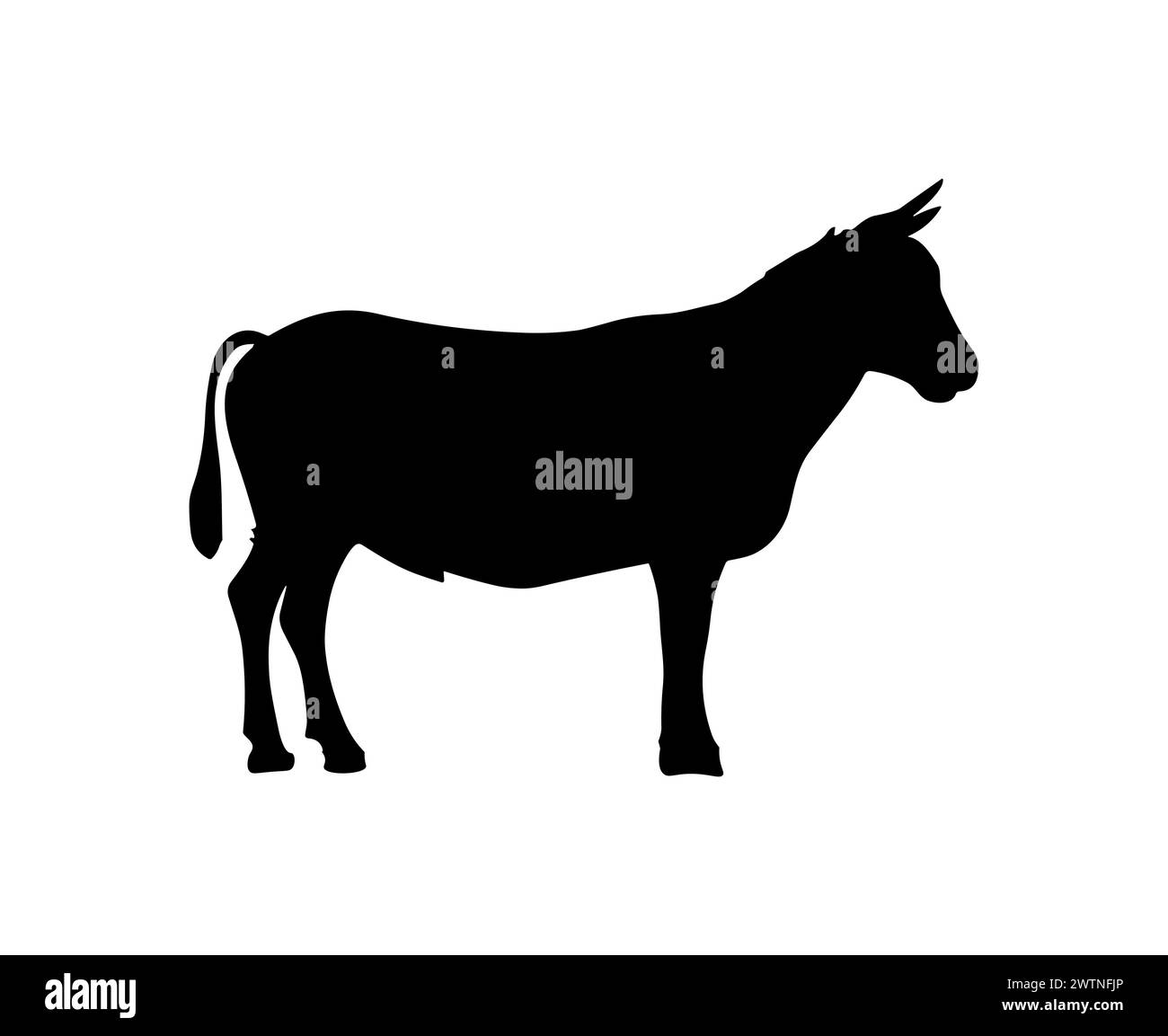 Cow silhouette character vector illustration icon. Cow logo milk