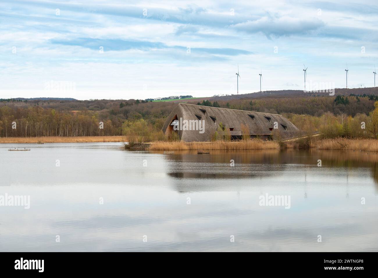 Biodiversity Haff Reimech, wetland and nature reserve in Luxembourg ...