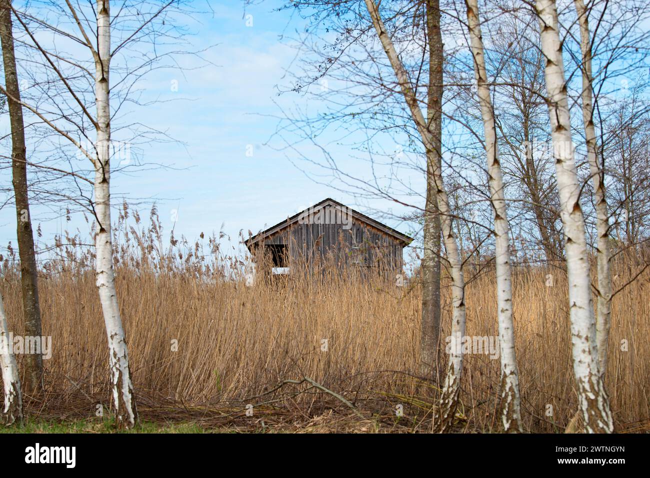 Biodiversity Haff Reimech, wetland and nature reserve in Luxembourg ...