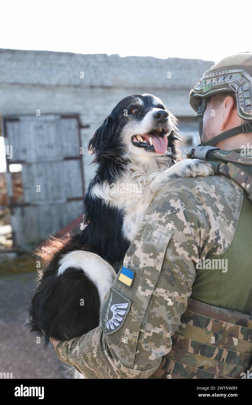 Ukrainian soldier rescuing stray dog outdoors, back view Stock Photo