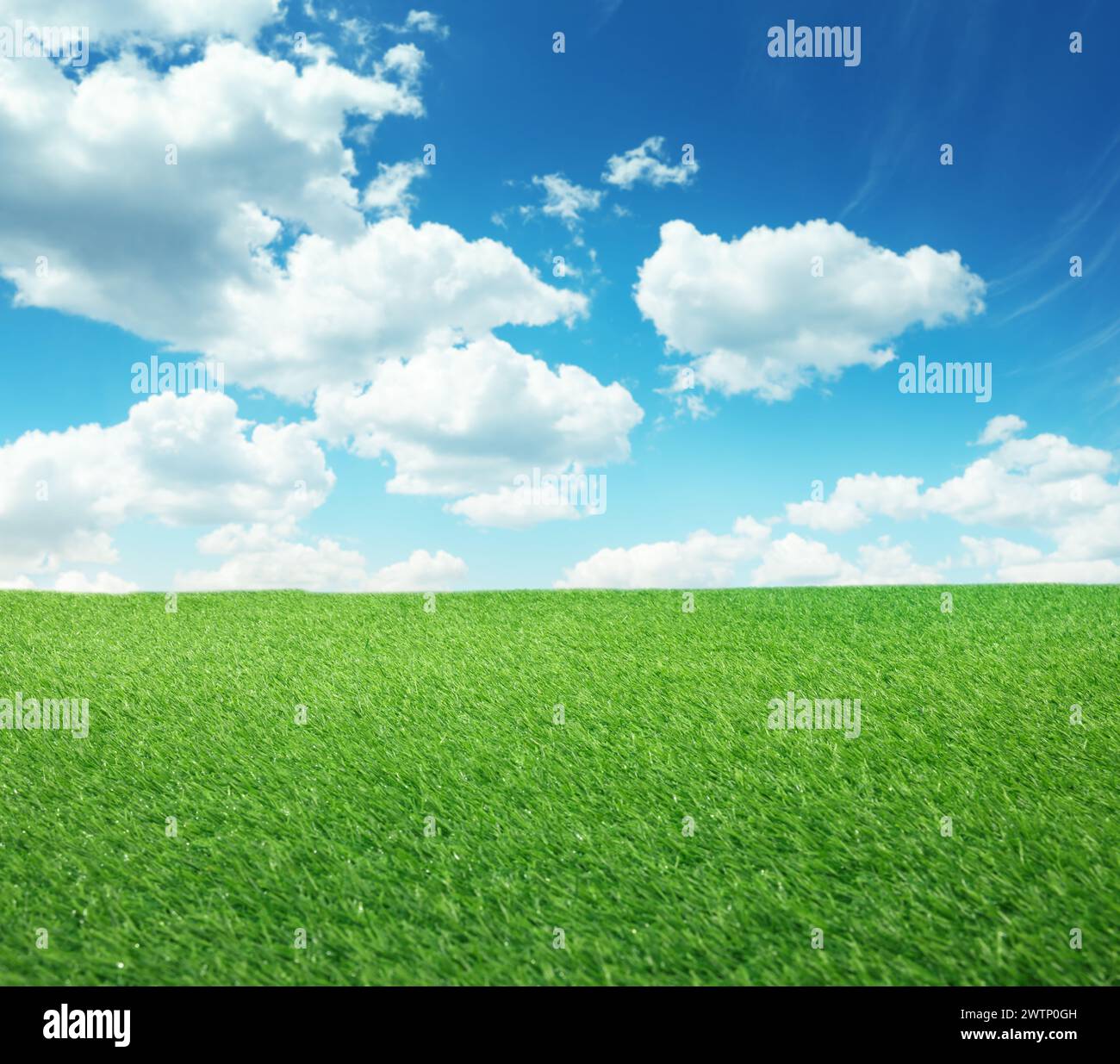 Green grass under blue sky with clouds Stock Photo - Alamy