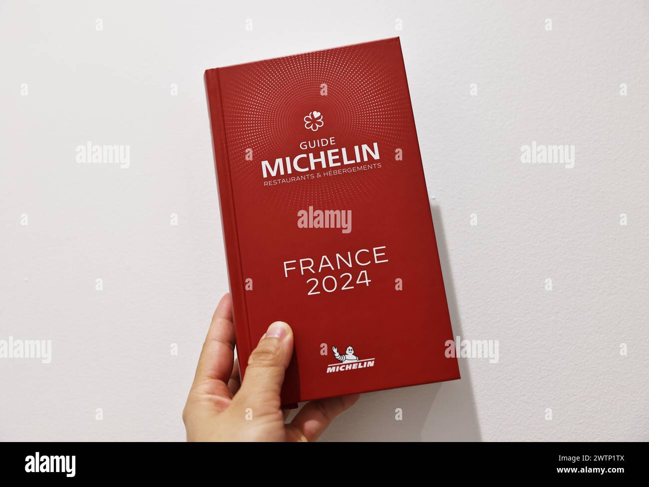 洋書 MICHELIN FRANCE 1994 Red Guide francais 41eAo5BCwmL._AC_SY200_QL15_.jpg