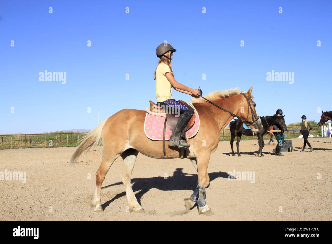 Horse Riding School at A R WILLDEN Horse Riding School Stock Photo