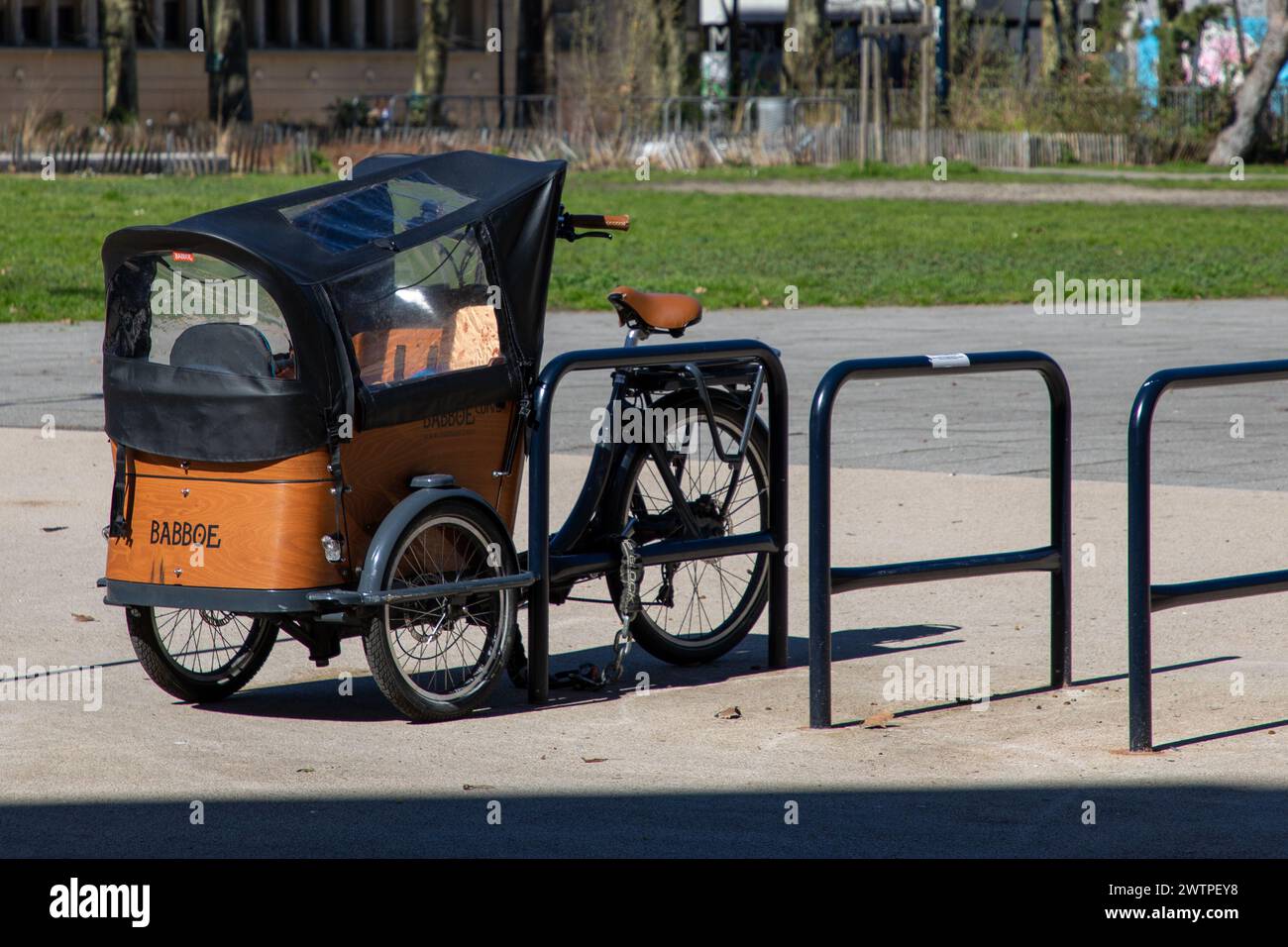 Babboe dog cargo bike hotsell