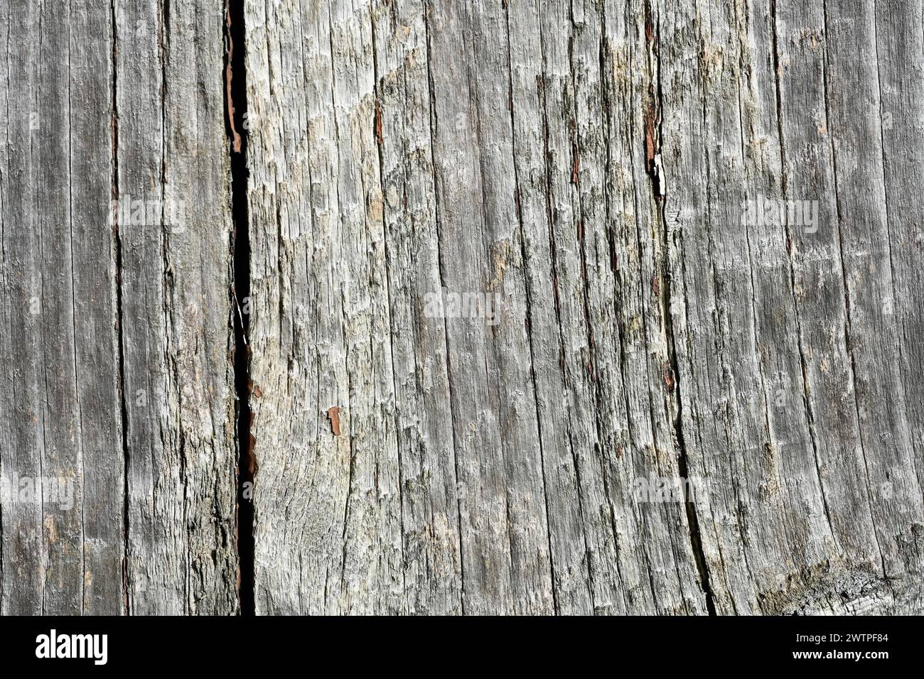 Grey old wood plank Stock Photo