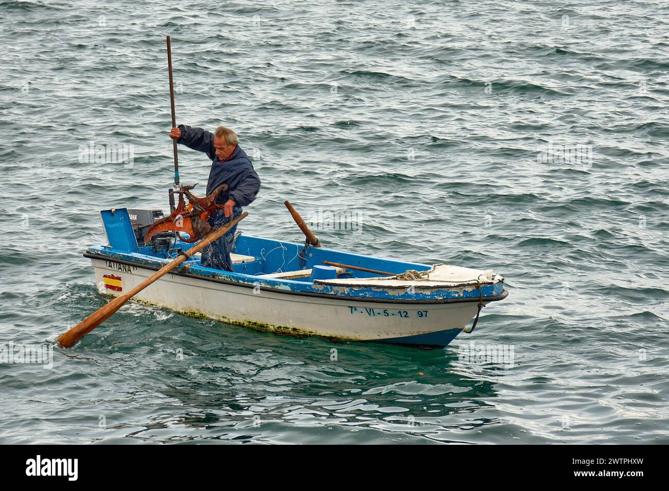 Vigo, Pontevedra, Spain; december, 18, 2022;Sailor in blue overalls has just caught an octopus with a line from his rowboat Stock Photo