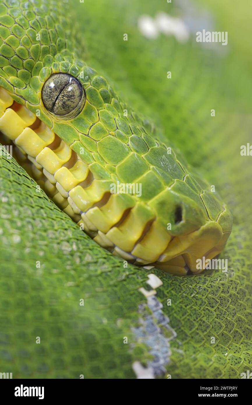 Gallery image with a fresh perspective