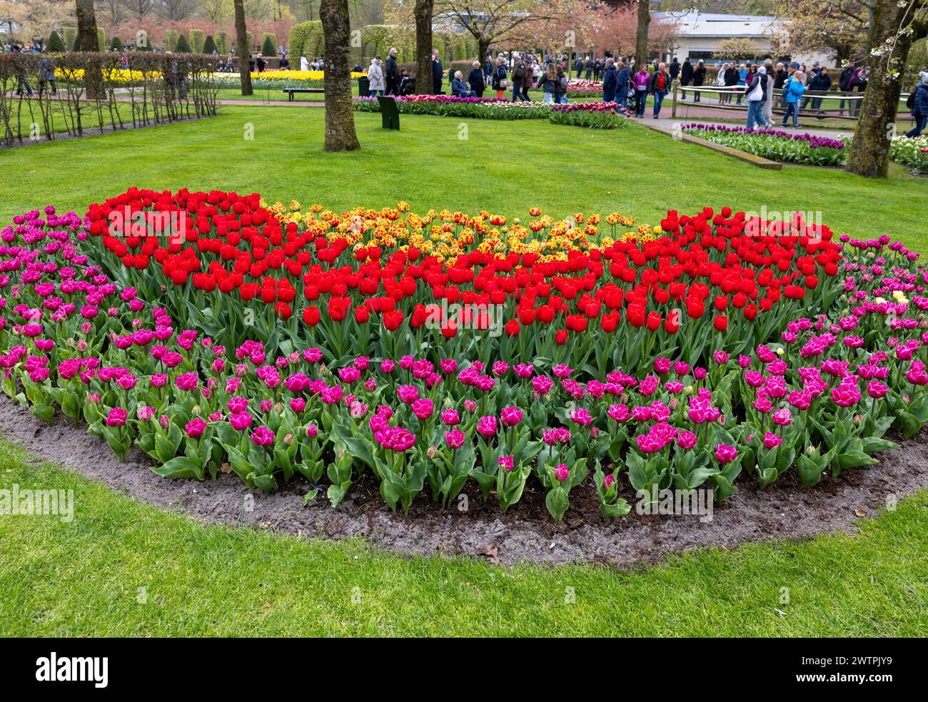 Keukenhof, Lisse Netherlands - April 18, 2023: Colorful tulips in the ...